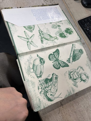 Britain's Wonderland of Nature - HB - Collins