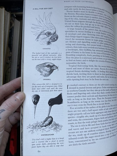the Birds, Life Nature Library - R.T.Peterson 1968