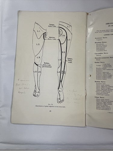 Aids to the Investigation of Peripheral Nerve Injuries (1965)