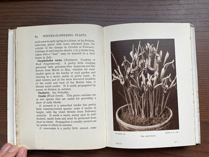 Winter-Flowering Plants - C. H. Middleton, N. D. H.  - 1937  Hardback / Good 