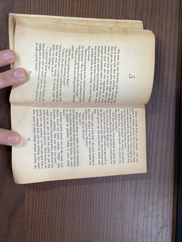 The Two Sisters - Honor Arundel 1970 (Scholastic Book Services)