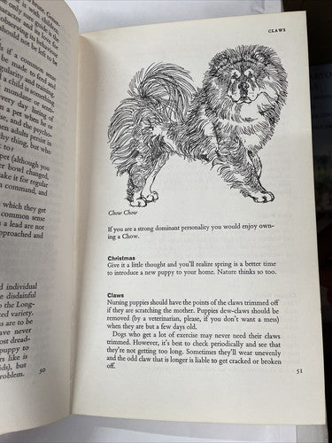 D Is For Dog By Frank Manolson 1964 First Edition Hardback 