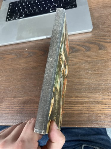 Троицкие сидельцы by Владимир Разумов Russian Book 1981 VA Minds Trinity Seats
