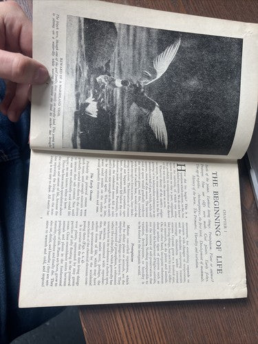 Vintage book. Wonders of nature. Odhams press