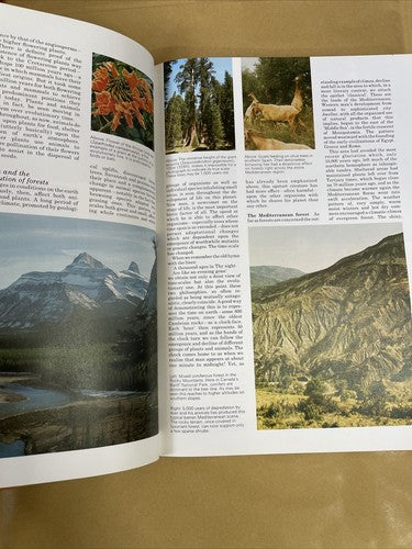The Illustrated Encyclopaedia of Trees (1978) Hardback