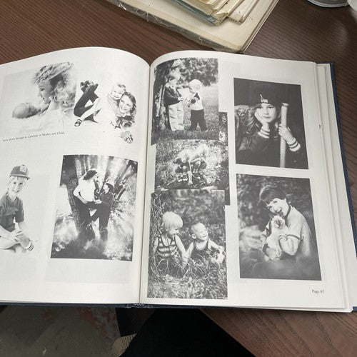 The Master Book of Portraiture Studio Management, D.Peterson - 1985 StudioPress