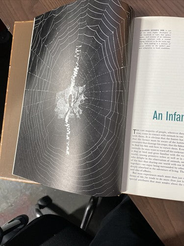 Animal Behaviour Life Nature Library by Niko Tinbergen 1969
