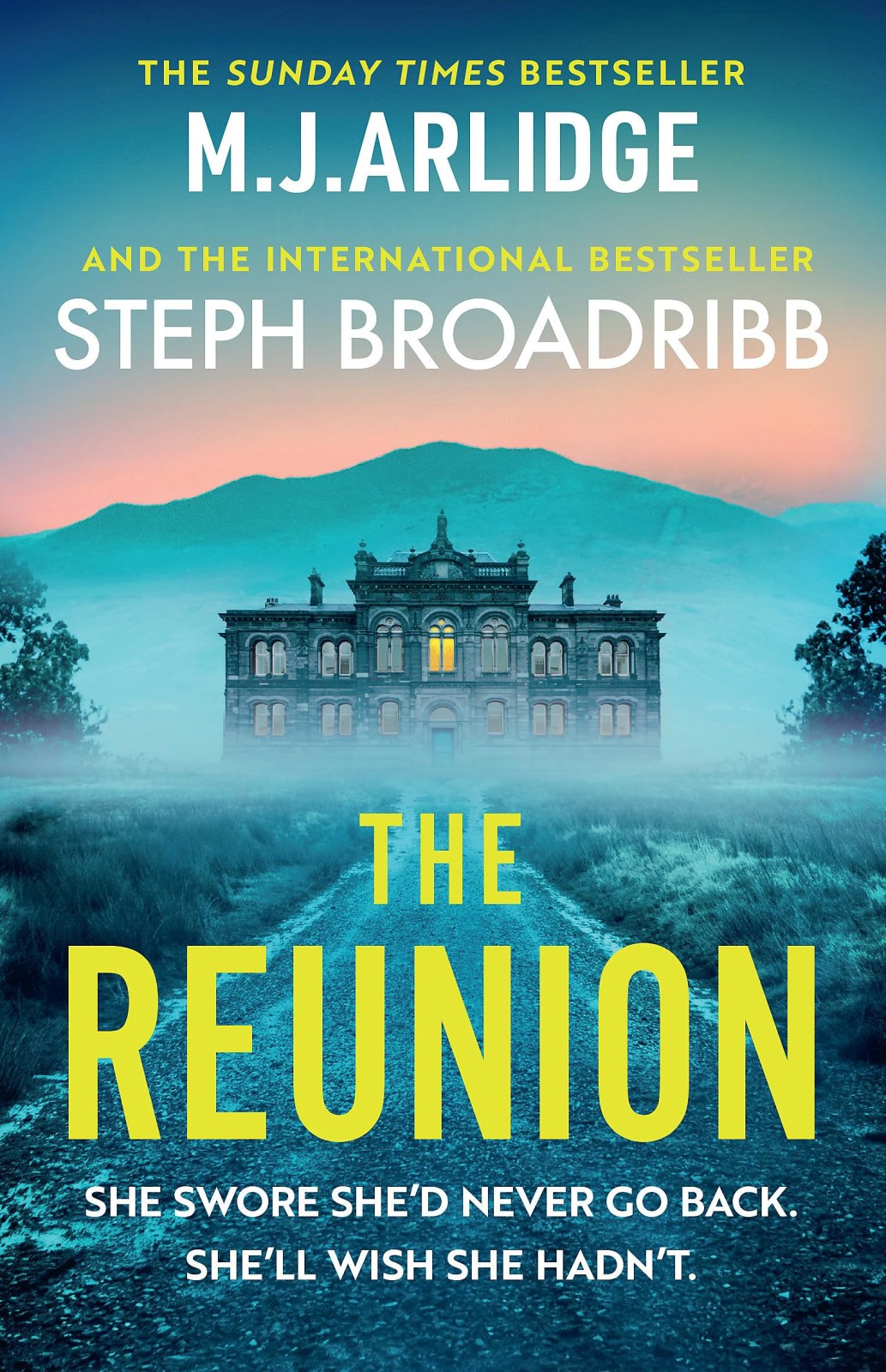 The Reunion: An absolutely gripping mystery with shocking twists and turns