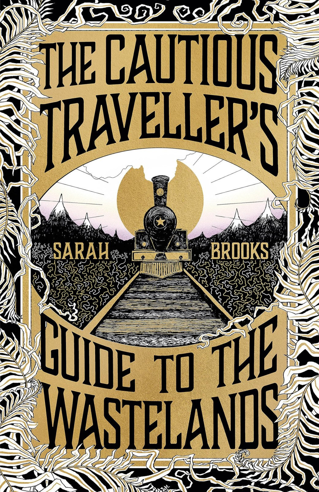 The Cautious Traveller's Guide to The Wastelands: THE INSTANT SUNDAY TIMES BESTSELLER