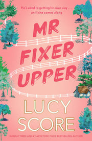 Mr Fixer Upper: the new romance from the 2023 bestselling Tiktok sensation! (Fixer series, 1)