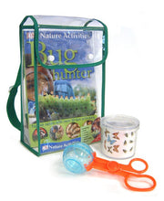 Bug Hunter: Nature Activities