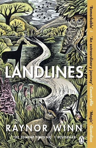 Landlines: The Sunday Times Bestseller from the Multi-Million-Copy Bestselling Author of The Salt Path (Raynor Winn, 3)
