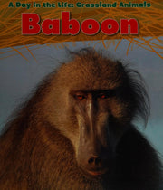 Baboon (A Day in the Life: Grassland Animals)