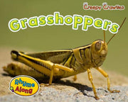 Grasshoppers (Creepy Crawlies)