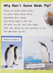 Not All Birds Fly (Engage Literacy White)