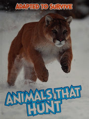 Adapted to Survive: Animals that Hunt