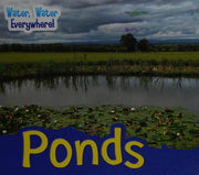 Ponds (Water, Water Everywhere!)