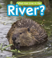 What Can Live in a River? (What Can Live There?)