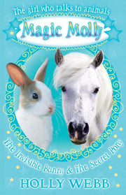 The Invisible Bunny and The Secret Pony (Magic Molly)