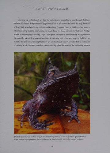 In Search of Lost Frogs