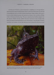 In Search of Lost Frogs