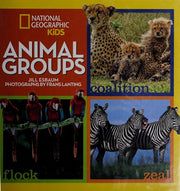 Animal Groups (Animals)