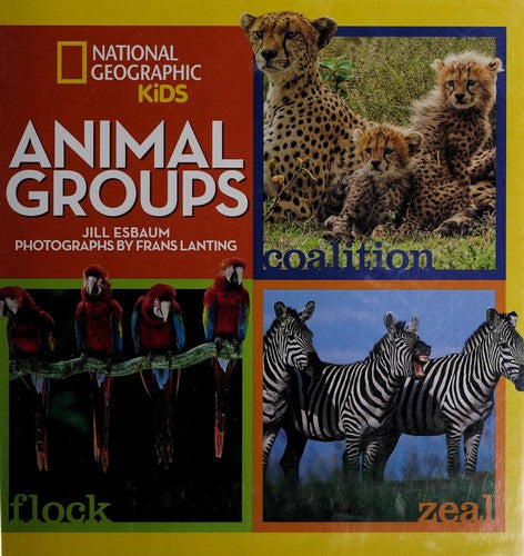 Animal Groups (Animals)