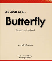 Life Cycle of a Butterfly