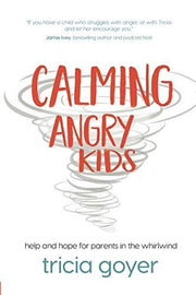 CALMING ANGRY KIDS: Help and Hope for Parents in the Whirlwind