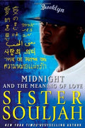 Midnight and the Meaning of Love: 2 (The Midnight Series)
