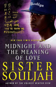 Midnight and the Meaning of Love: Volume 2 (The Midnight Series)