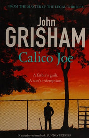 Calico Joe: The unforgettable family drama from the number 1 Sunday Times bestselling author