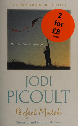 Perfect Match: the international bestseller about the strength of a mother's love