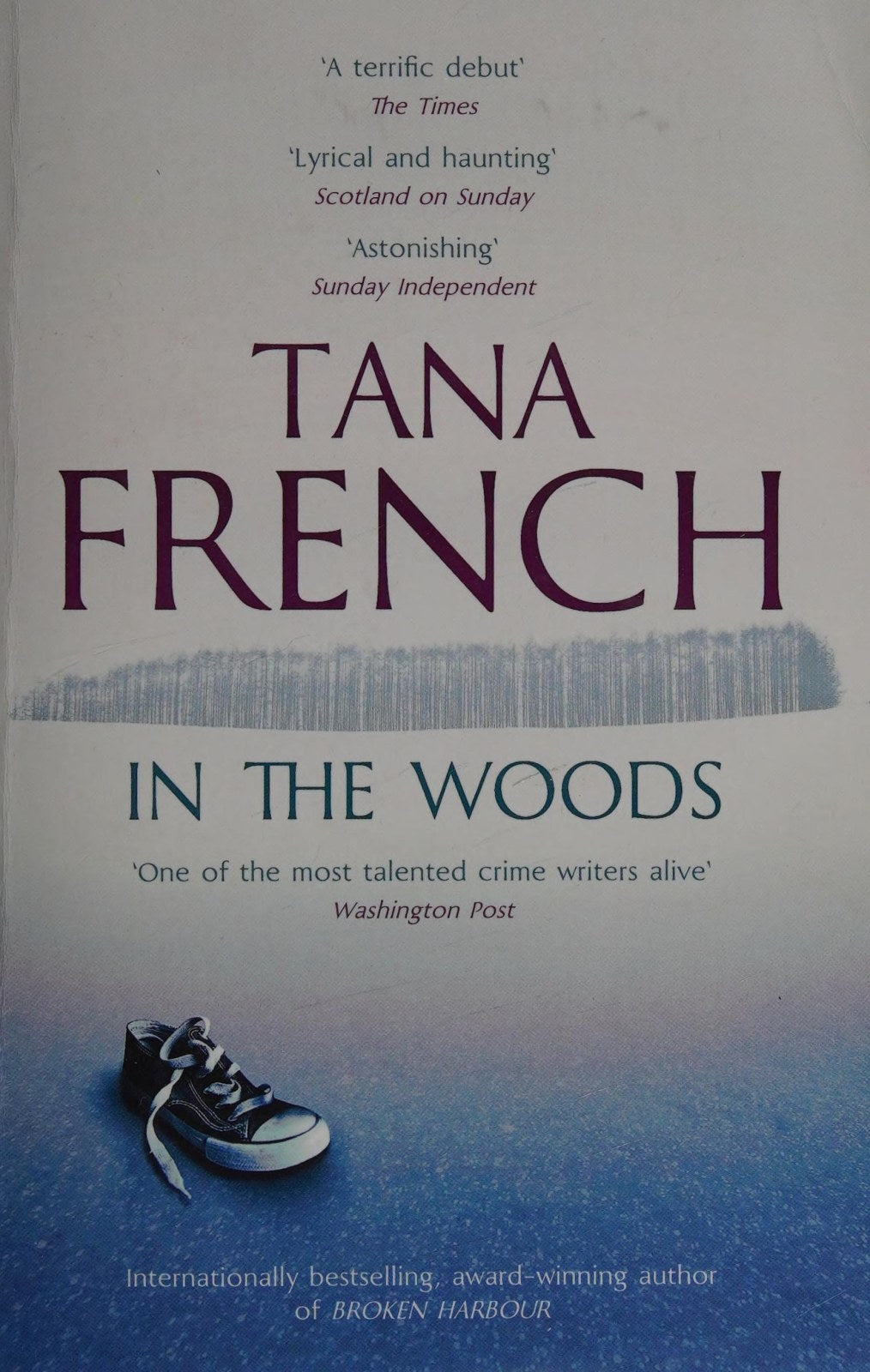 In the Woods: A truly stunning thriller and psychological mystery from one of our greatest living crime writers (Dublin Murder Squad)