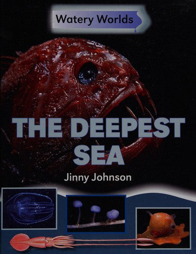 Watery Worlds: The Deepest Sea