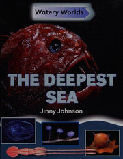 Watery Worlds: The Deepest Sea
