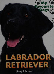 My Favourite Dogs: Labrador Retriever