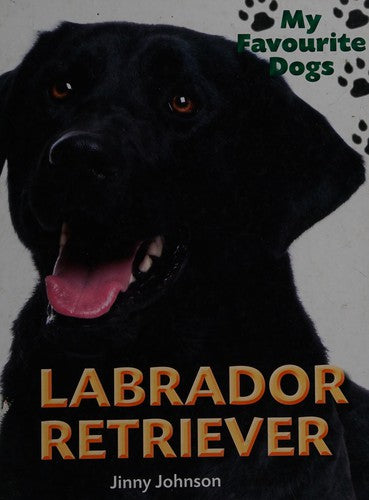 My Favourite Dogs: Labrador Retriever