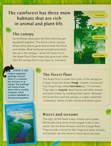 Discover Through Craft: Rainforests
