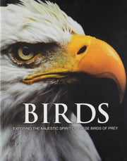 Spirit of Birds of Prey