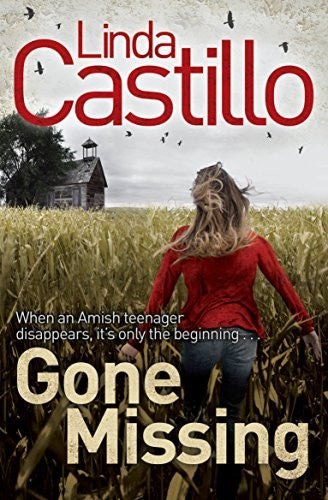 Gone Missing (Kate Burkholder series)