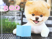 Boo: The Life of the World's Cutest Dog (Halloween Books for Kids, Halloween Books for Toddlers, Cute Halloween Stories)