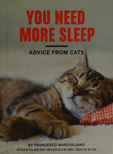 You Need More Sleep: Advice From Cats