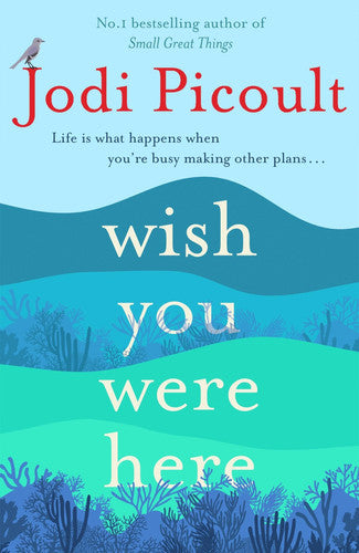 Wish You Were Here: A completely gripping, unputdownable novel from the bestselling author of My Sister's Keeper