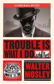 Trouble Is What I Do: Leonid McGill 6 (Leonid McGill mysteries)