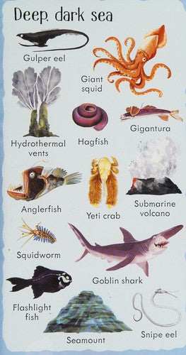 199 Things Under the Sea (199 Pictures)