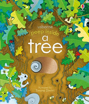 Peep Inside a Tree: 1