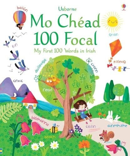 MY FIRST 100 WORDS IN IRISH (Big Picture Books)