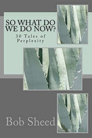 So What Do We Do Now?: 30 Tales of Perplexity