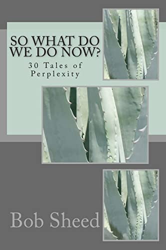 So What Do We Do Now?: 30 Tales of Perplexity
